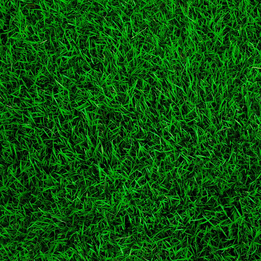 Landscape and Lawn Services