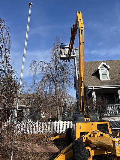 Tree Service